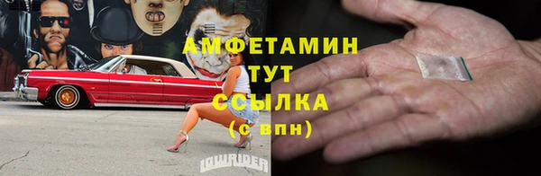 гидра Майский