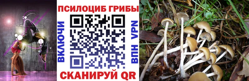 Псилоцибиновые грибы ЛСД mega ссылки Невельск